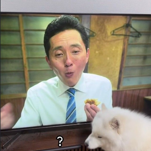 「そこからは出てこないよ！」（「こはく」さん提供、Instagramよりキャプチャ撮影）
