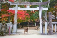 奈良県 天川村（提供画像）