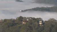 資料画像：雲海に浮かぶ備中松山城（岡山・高梁市）