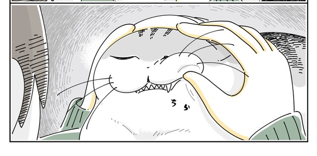 チラッ！（提供：キュルZさん）