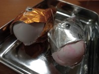 口から浮袋が飛び出てるのがリアルです（カニ軍艦太郎さん提供）