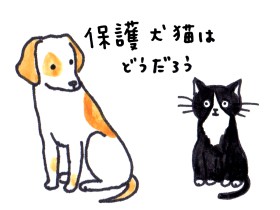 「保護犬・猫はどうだろう」拾っても、もらっても、買っても…かわいさ、大変さは同じ