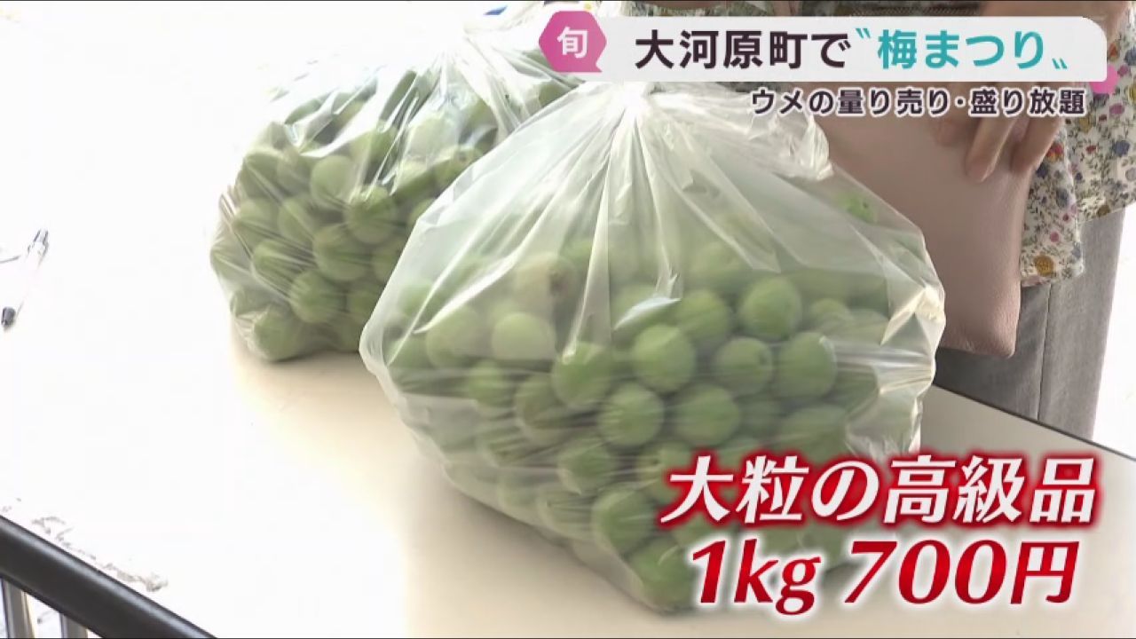 「おおがわら梅まつり」　旬のウメを販売
