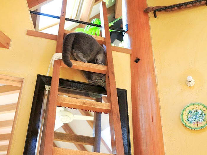 何がしたいの？ 予測不能！（テクニック1）