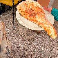 「ナン」に似てるねと言われた犬さん、とは？ （画像提供：ロキの相方さん）