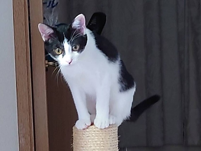 末っ子気質全開（みゆきさん提供）