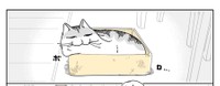 使い込んだ段ボール箱でくつろぐキュルガちゃん（提供：キュルZさん）