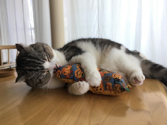 手離しませんよ