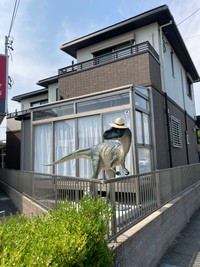 今では近所の人気者になったアロサウルスの“アロちゃん”／魚の目（Lv.35）さん（@uonome5150）提供
