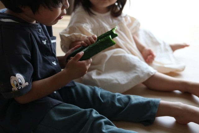 カーテンに隠れてきゅうりで乾杯をしていた子供達／かなみさん（@kanami_nakahara）提供