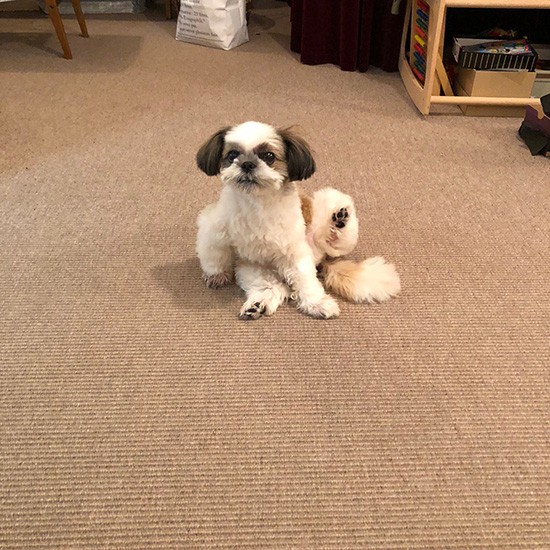 「ぼくは　あしのうらに　くろまめを　こっそりかくしてるんだ」