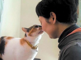 映画監督 犬童一心と猫　 飼うことは看取ること