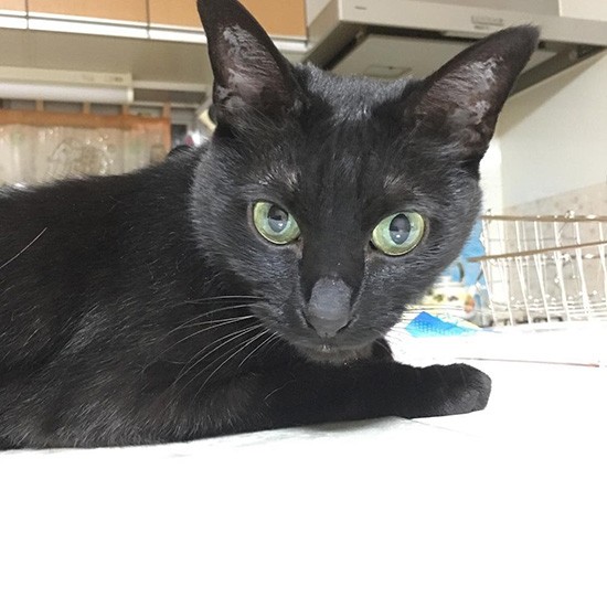 カメラが苦手なじじちゃん、ギリギリカメラ目線