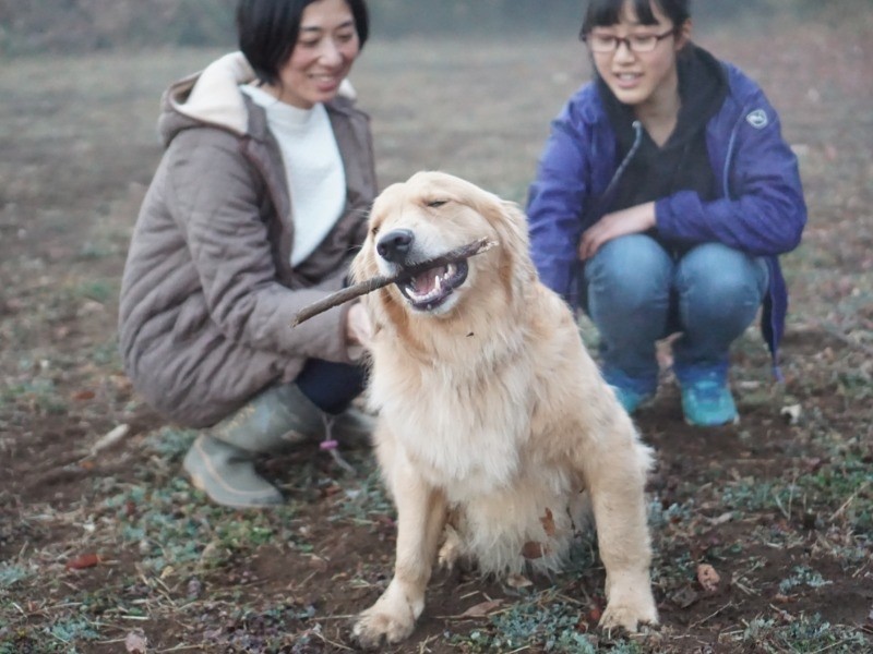 「木をカジカジしたり」