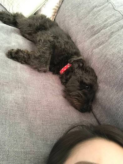 お母さんと一緒にゴローン（お母さん提供）