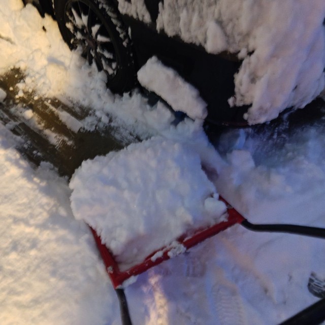 雪かきをしても2時間で5センチ積雪／安川さん（@yas_k15）提供