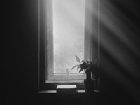 まさか私が流産するなんて。悲しみから救ったのは、夏の引越しだった