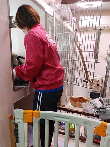 シェルターにいる動物たちのお世話は必要。最低限のスタッフで運営している神奈川県動物愛護協会