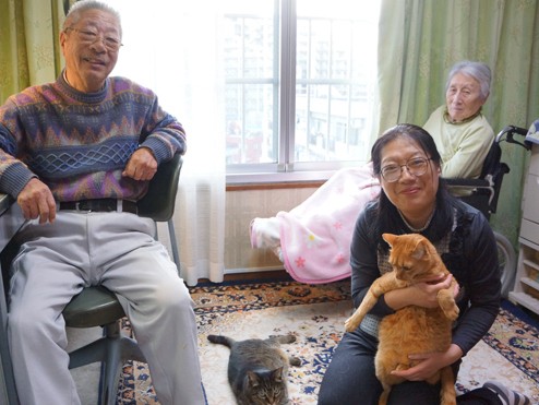 猫に囲まれ、母親を介護　会話の中心に、いつもニャンとトラ