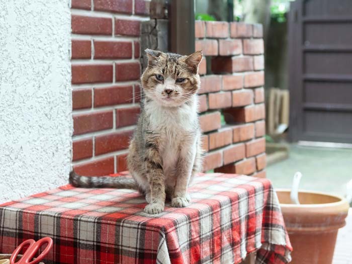 片腕だけグイっと腕まくりした柄