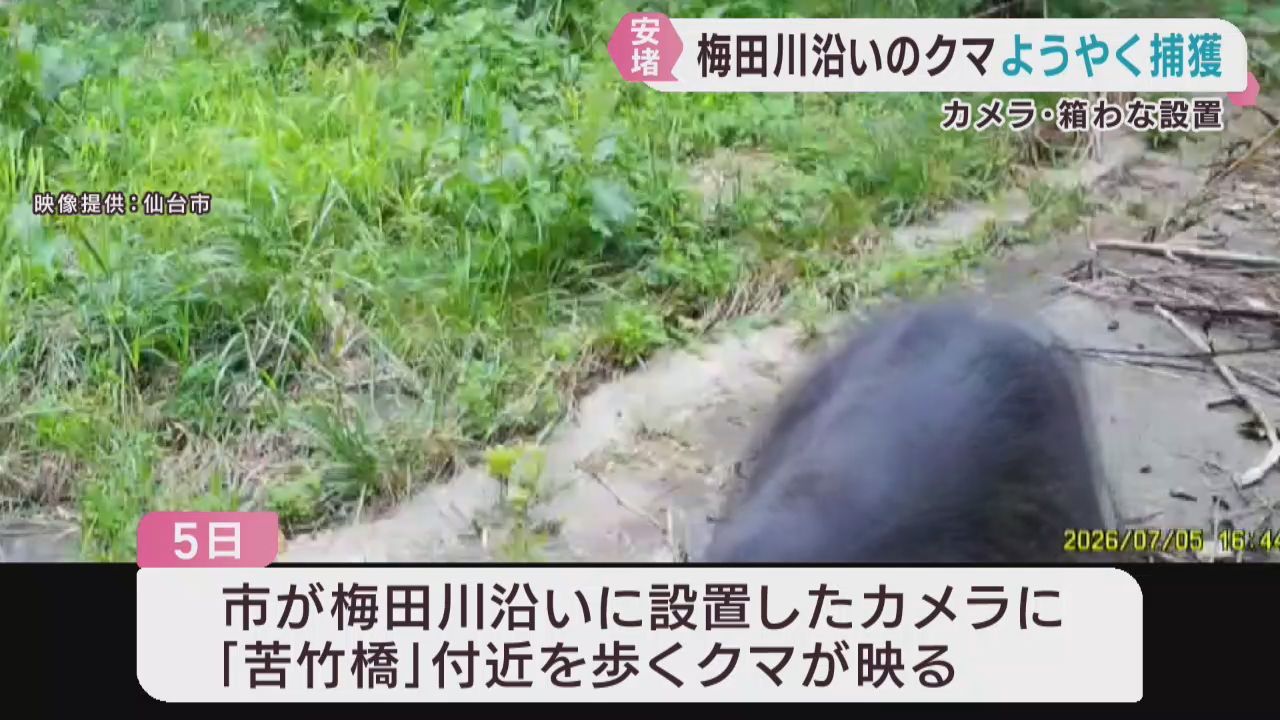 仙台・梅田川河川敷のクマを駆除　相次ぐ目撃は同一個体か　住民は安堵