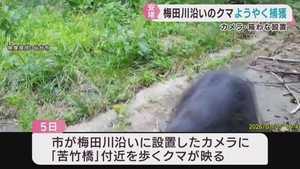 仙台・梅田川河川敷のクマを駆除　相次ぐ目撃は同一個体か　住民は安堵
