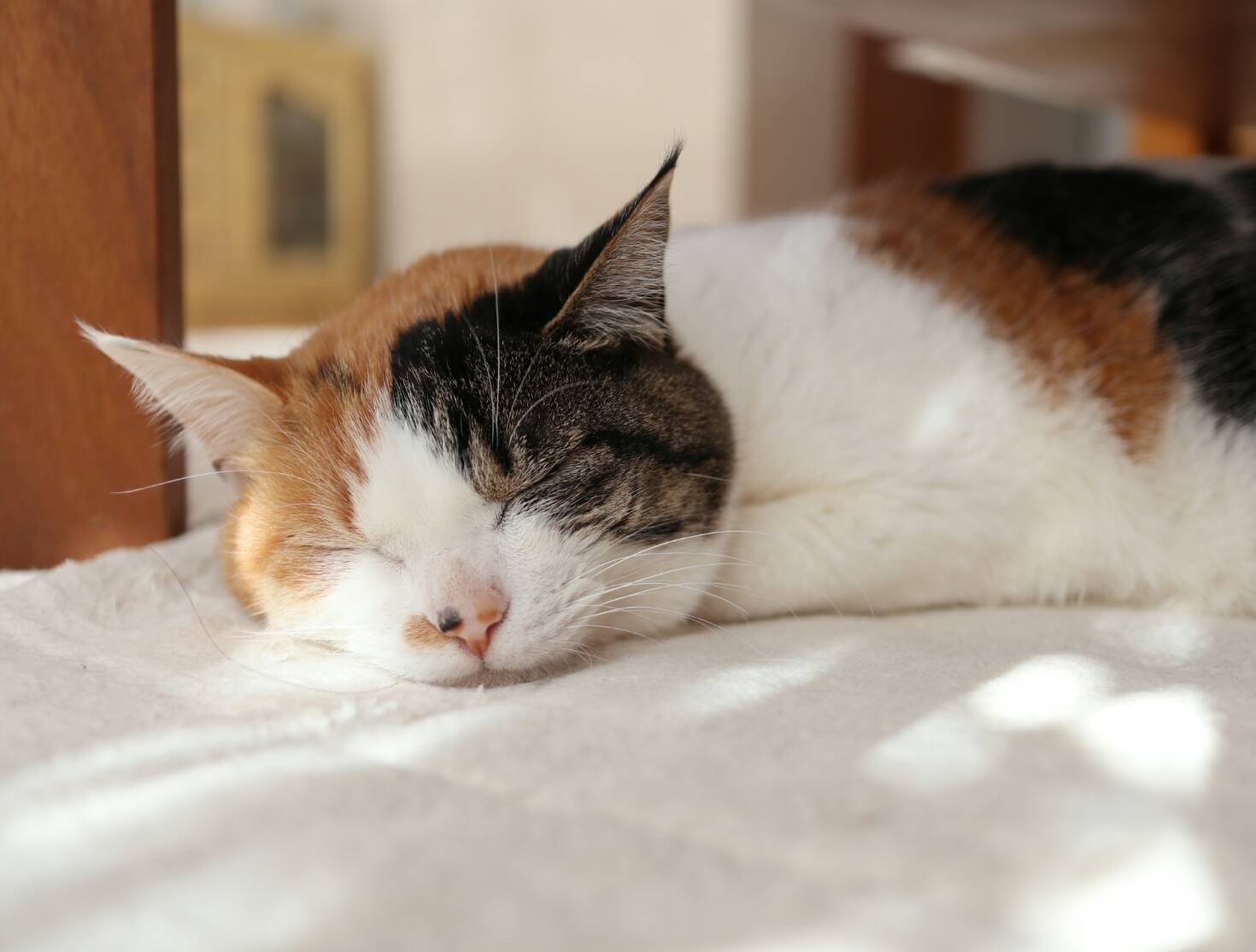 おやすみ…またあした