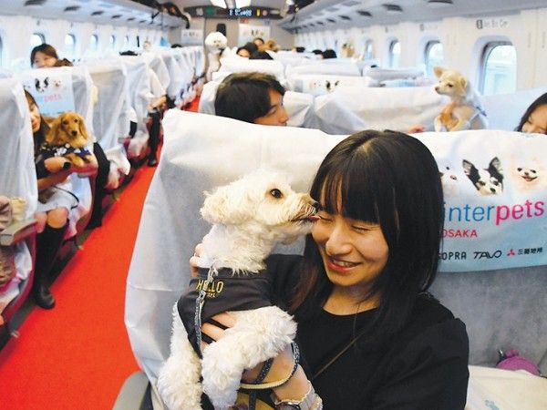 子ども向け解説】高市早苗さんが第104代首相に 女性の就任は日本初