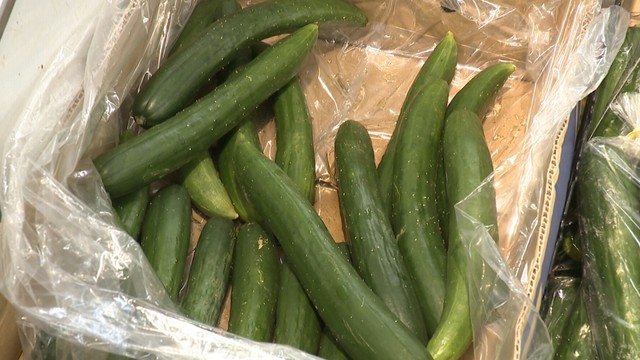 猛暑や台風による影響で野菜の価格が高騰　風でぶつかり合い品質にも影響が　香川