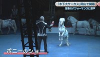 木下大サーカスの公演　岡山・北区　27日