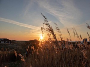 冬の焦げた匂いにその子を思い出し、夏、命の匂いに感じた恋の終わり