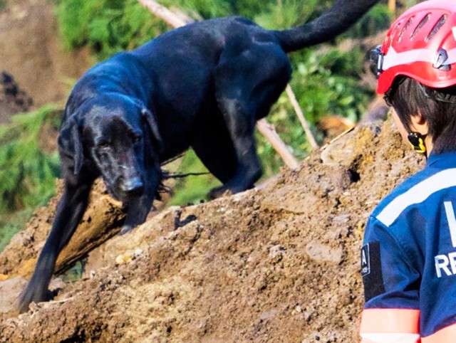 ルークと仁尾さん