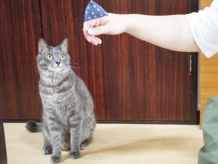 一点に集中して