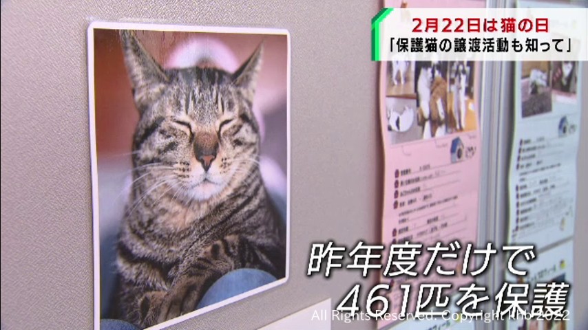 Khb東日本放送 ２月２２日は猫の日 写真展で飼育責任や譲渡活動を周知 仙台市