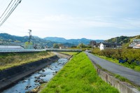 和歌山県の街の住みここちランキング1位の「西牟婁郡上富田町」にある八上神社周辺の風景　※画像はイメージです（Paylessimages/stock.adobe.com）