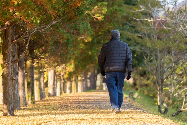 散歩中のシニア男性。写真はイメージです（zheng qiang/stock.adobe.com)