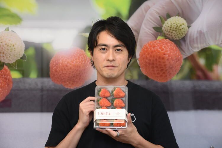 植物工場で作ったパック入りのイチゴを示す古賀大貴さん