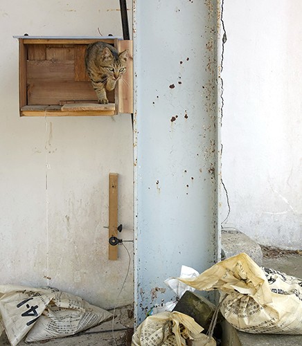 2014年　浪江町の帰還困難区域にて