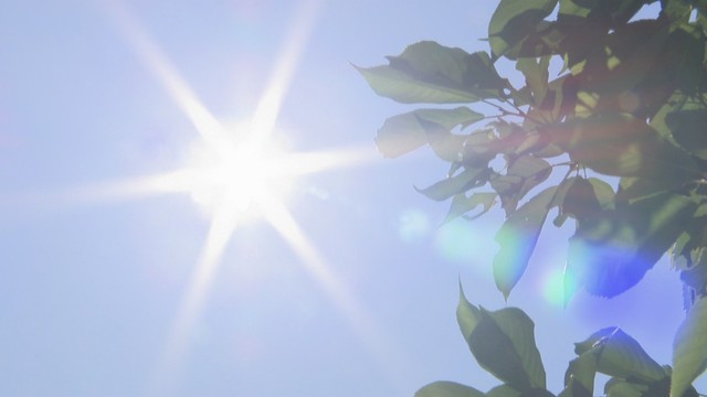 岡山市で最高気温35℃に…9月としては3年ぶりの猛暑日