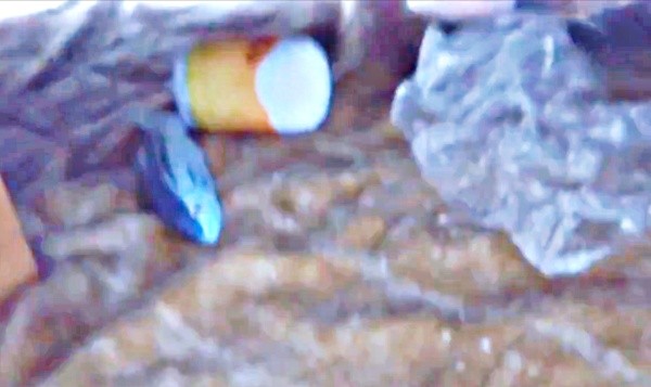 コタツの中をのぞくとーーランちゃんの「ダイジ（宝物）」がたくさん！（画像提供：みぃさん）