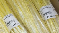 岡山市北区で生産された黄ニラ