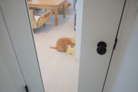 イタズラ防止を徹底