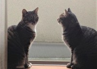 穏やかに2匹の時間は過ぎて行きます