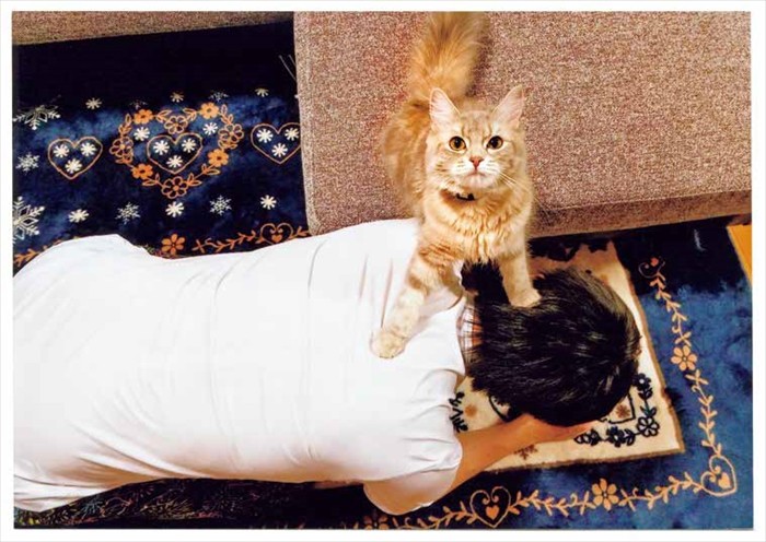 「イキってるネコ」より（あーちゃん撮影、ネコまる提供）