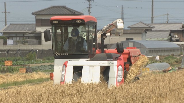香川オリジナル小麦の新品種「さぬきの夢2023」を初収穫　2025年秋から市場へ