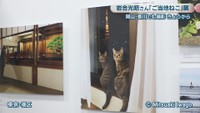 ©Mitsuaki Iwago