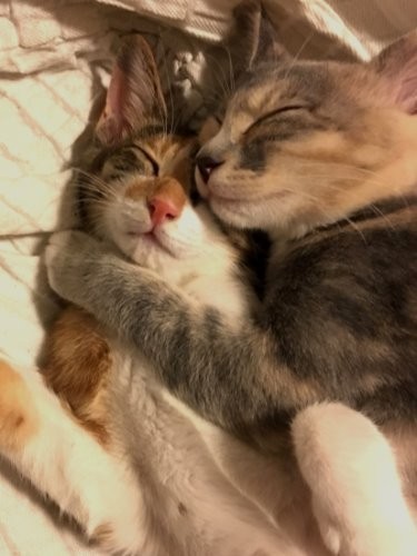 幼い時から仲がいいんです