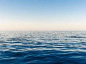 鏡の中の私を愛するために、今日も「かわいい」を更新する