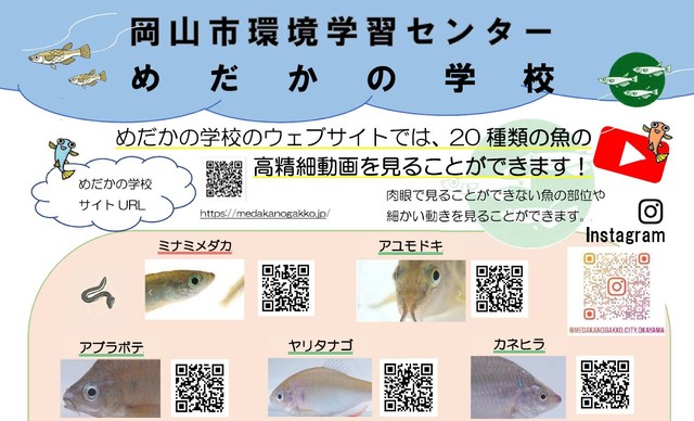 岡山市 提供