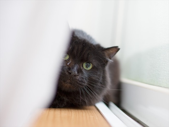 「私が隠れているとこ、みんなにないしょね」（小林写函撮影）